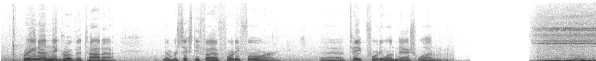 Black-striped Frog - ML221951