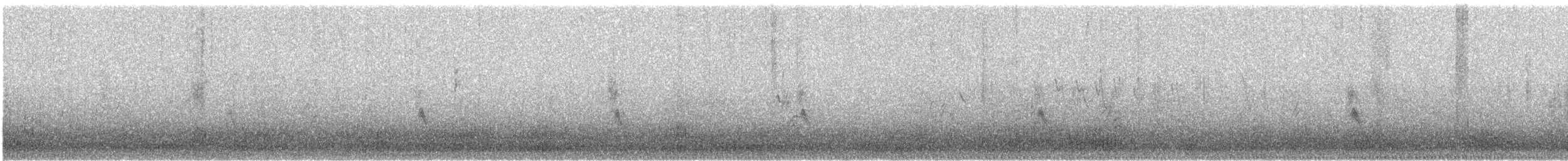 tanımsız Passeriformes sp. - ML221952941