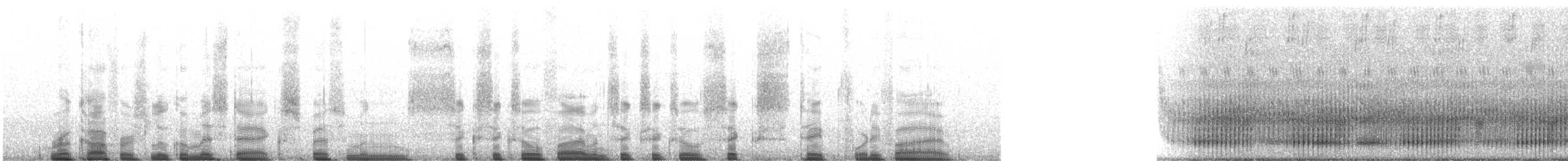 Common Southeast Asian Tree Frog - ML221953