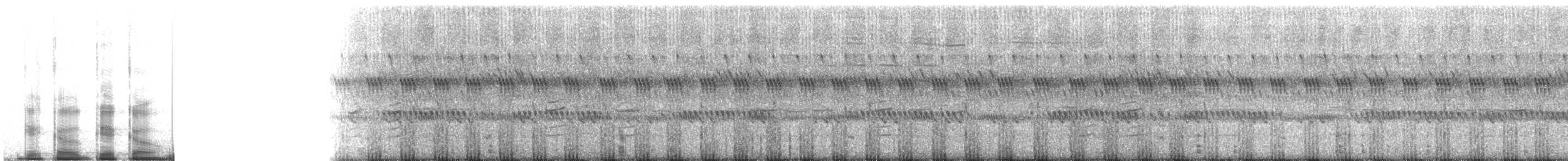 Tokay Gecko - ML221955