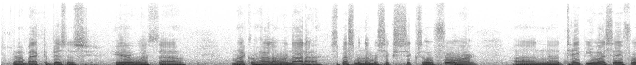 Ornate Narrow-mouthed Toad - ML221956