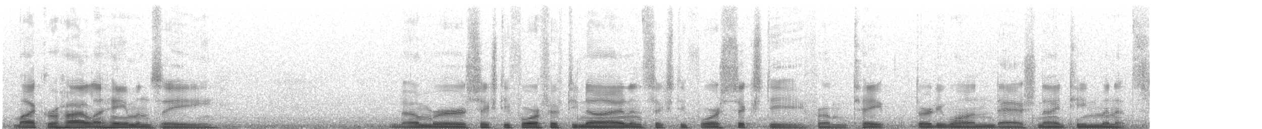 Dark-sided Chorus Frog - ML221957