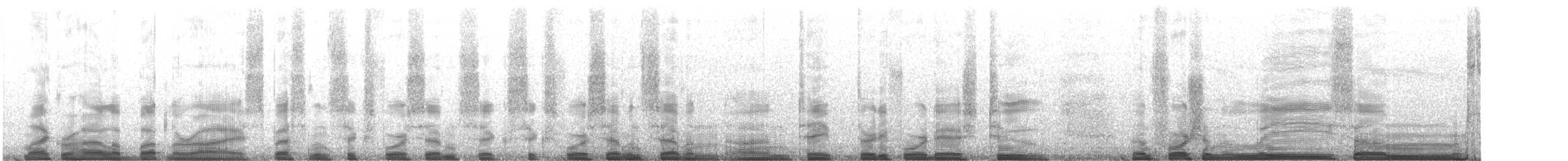 Tubercled Pygmy Frog - ML221958