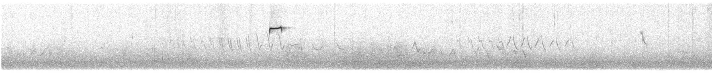 tanımsız Passeriformes sp. - ML221960251