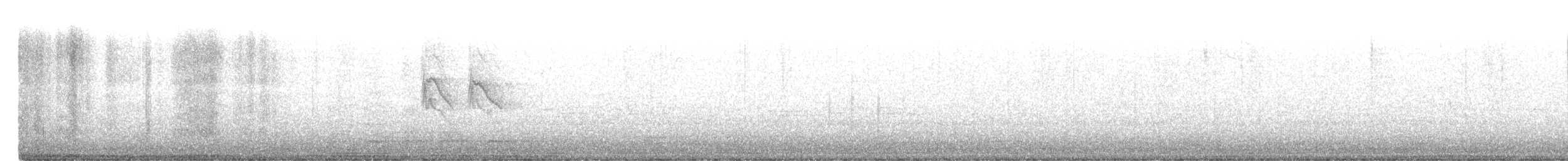 Lesser Goldfinch - ML222000211
