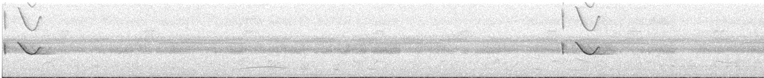 Spot-tailed Nightjar - ML22210291