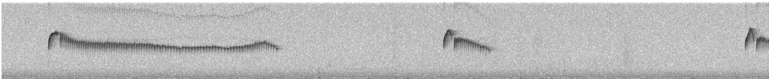 Taçlı Bülbül Tiranı (frontalis/albidiadema) - ML222114391