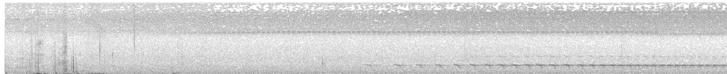 White-tailed Trogon - ML222201511