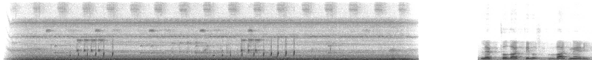 Southern Frogs - ML222239