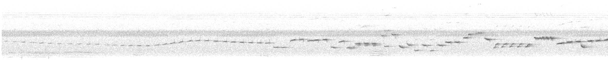 koboltkortvinge - ML222253751