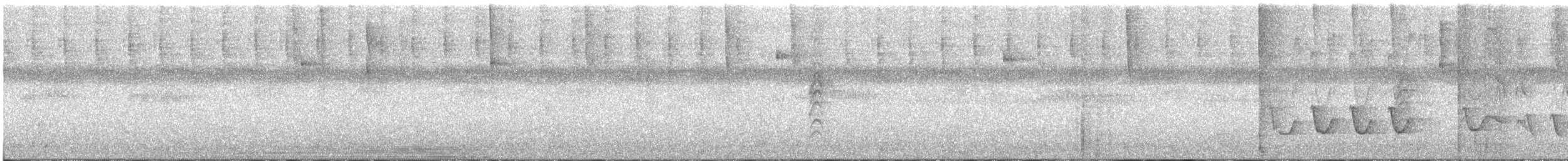 White-winged Becard - ML222304151