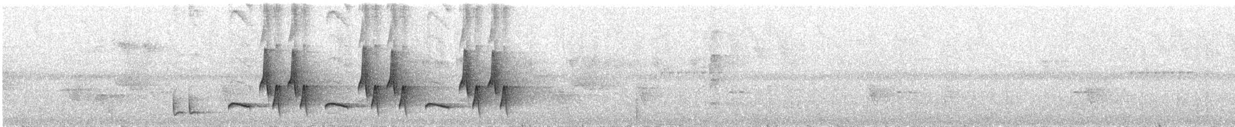Черноголовый крапивник (nigricapillus/connectens) - ML222313191