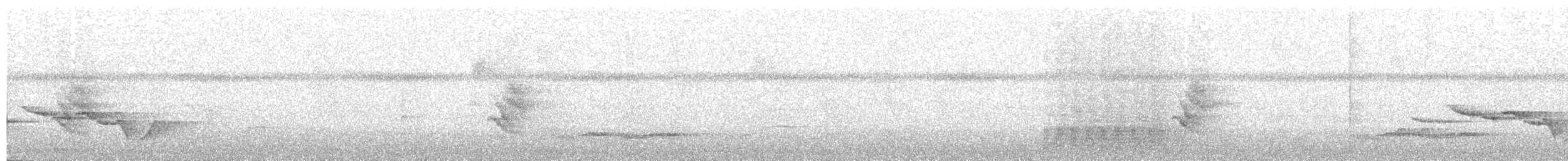 Spot-breasted Wren - ML222326471