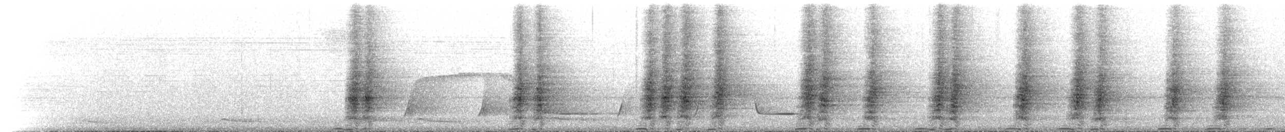 Grauflügel-Trompetervogel (crepitans) - ML222346