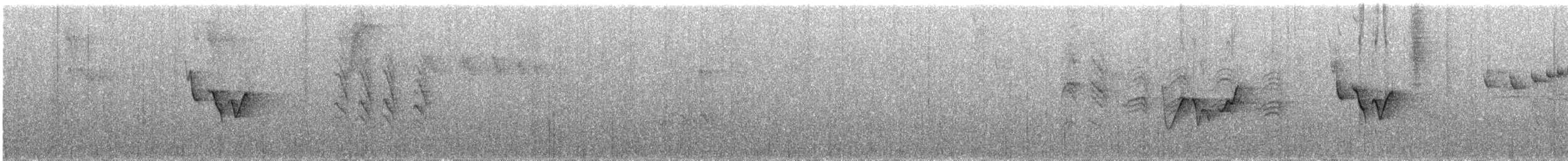 Віреончик білочеревий (підвид minor) - ML222357071