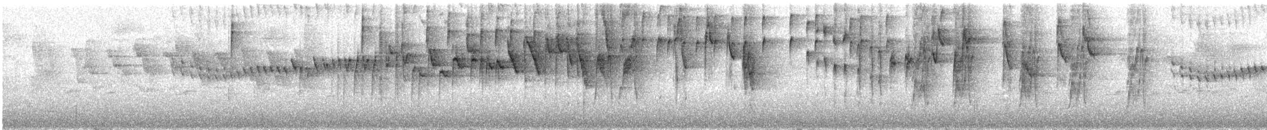 Three-striped Warbler (daedalus) - ML222363761