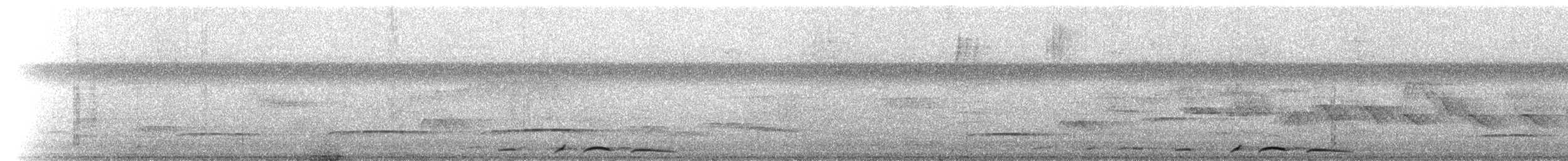 holub vínový [skupina purpureotincta] - ML222396