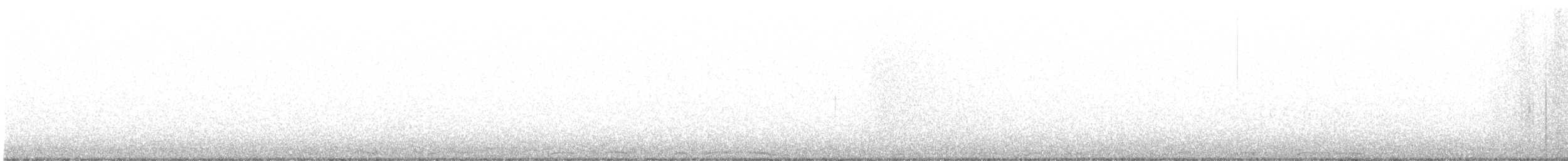 Chouette rayée - ML222432231