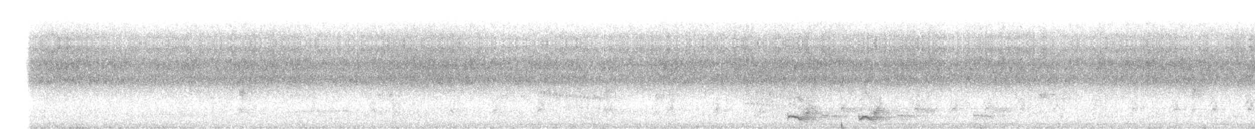 Trogon élégant - ML222434051
