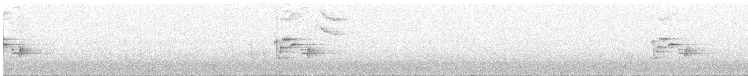 Дрізд-короткодзьоб чорноголовий - ML222481721
