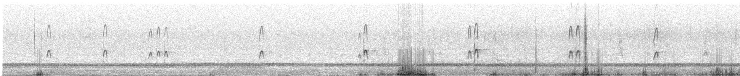 langnebbekkasinsnipe - ML222560611