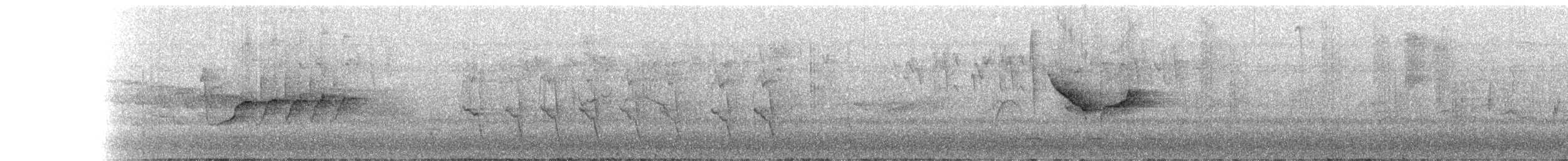 Barred Becard - ML222625371