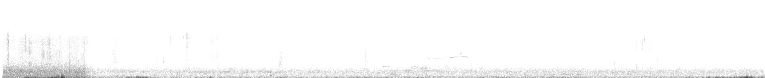 Белогорлая зонотрихия - ML222649381