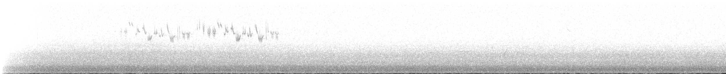Кузнечиковая овсянка-барсучок - ML222649841