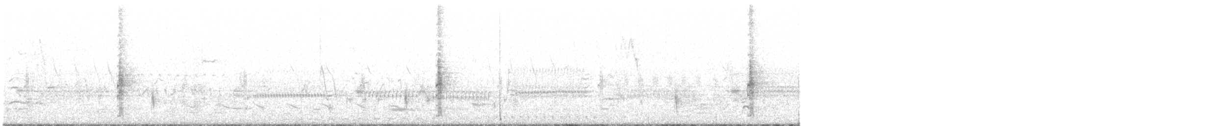 Wilsonbekassine - ML222741491
