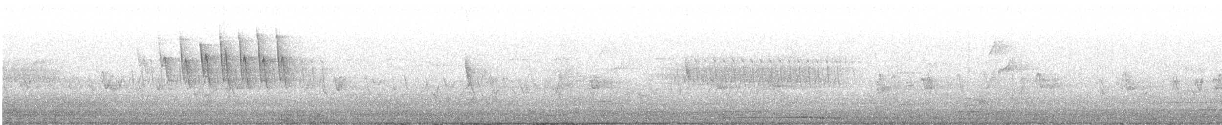 Paruline à calotte noire (chryseola) - ML222759081