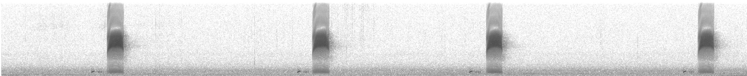 American Woodcock - ML222791431