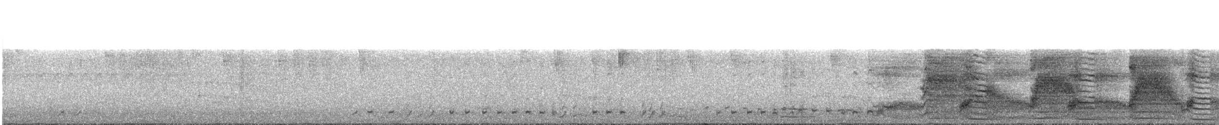 Pale-vented Bush-hen - ML222810611