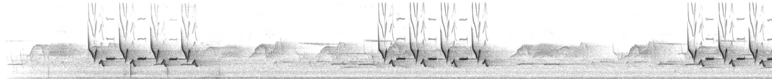 チャバラマユミソサザイ - ML222849391