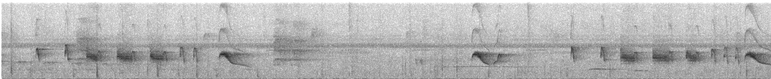 skogtyrann (flaviventris gr.) - ML222938091