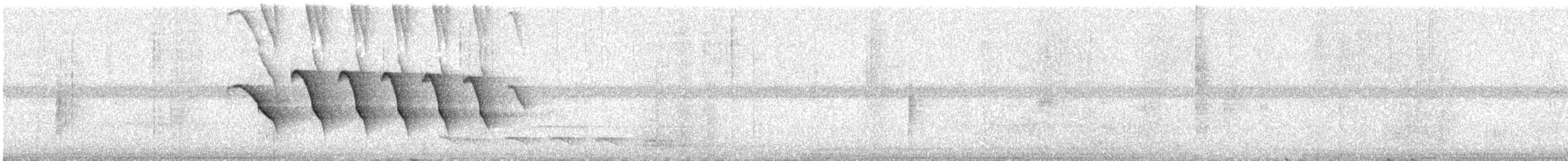 klatremaurvarsler (anabatinus gr.) - ML222951141