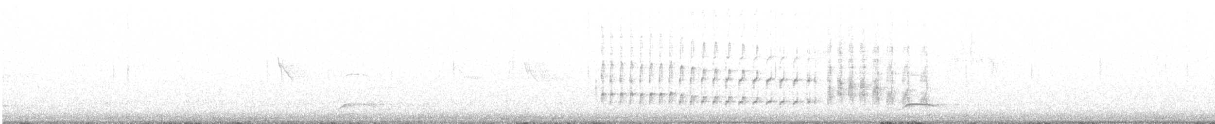 rorýs bělohrdlý - ML222953521