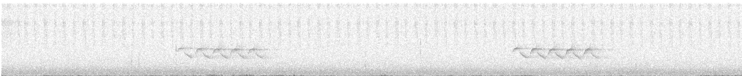 Юнко сірий (підвид dorsalis) - ML223014391