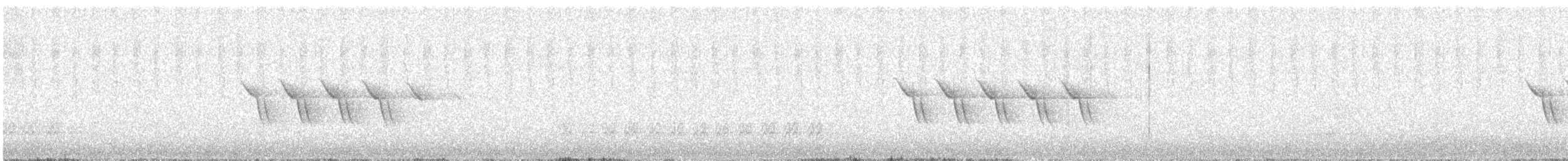 Юнко сірий (підвид dorsalis) - ML223014491