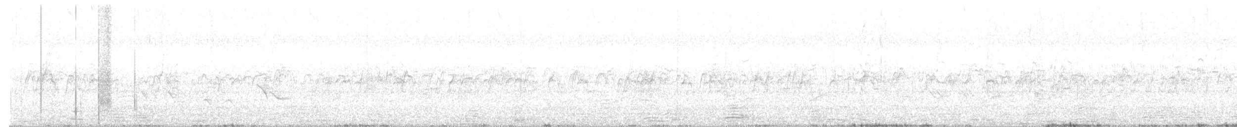 ub. plystreand (Dendrocygna sp.) - ML223133091