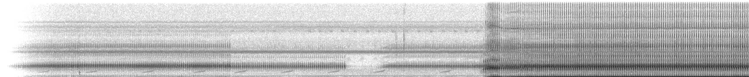 Central American Gulf Coast Toad - ML223207