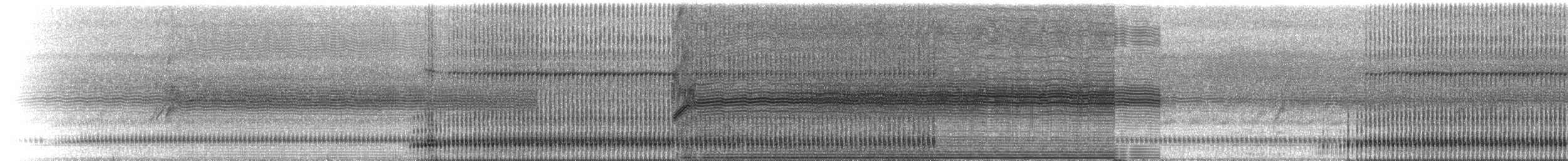 ワンガンヒキガエル - ML223212