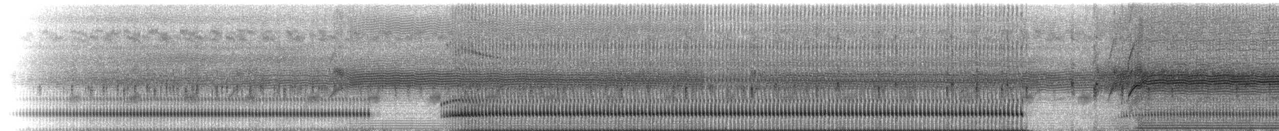 Central American Gulf Coast Toad - ML223213