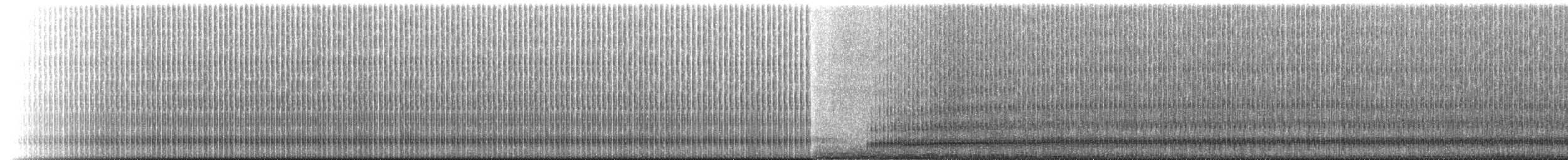 Central American Gulf Coast Toad - ML223222