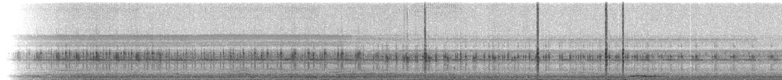 Northern Cricket Frog - ML223224