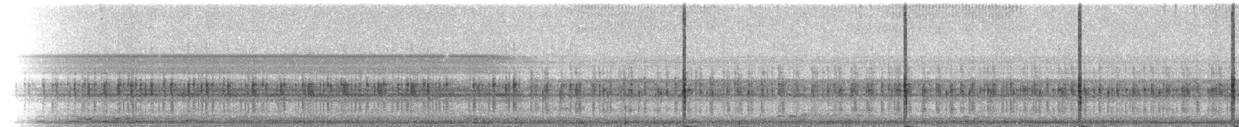 Northern Cricket Frog - ML223225