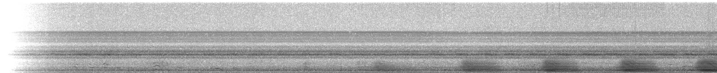 American Bullfrog - ML223226