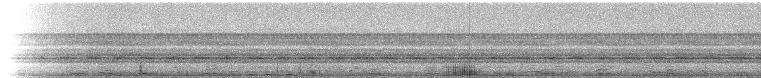 Northern Leopard Frog - ML223227