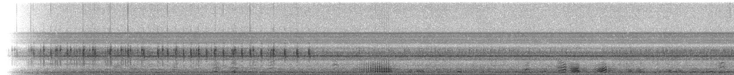 ヒョウガエル - ML223228