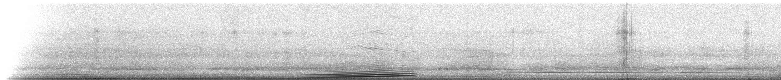 Mexican Burrowing Toad - ML223229