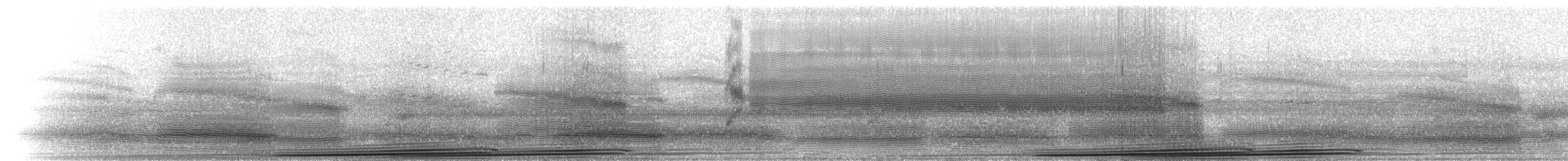 Mexican Burrowing Toad - ML223230